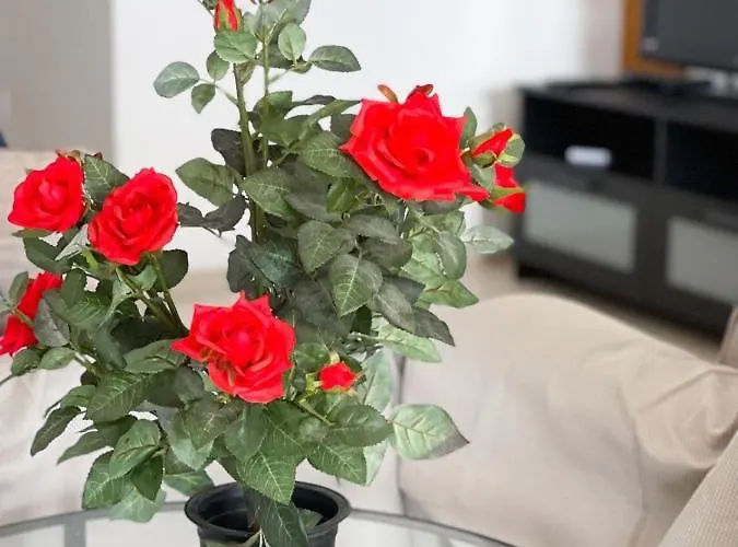 Lejlighed Capella, *